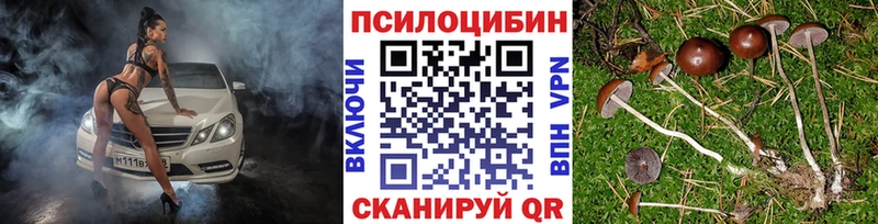 Галлюциногенные грибы Psilocybine cubensis  Набережные Челны 